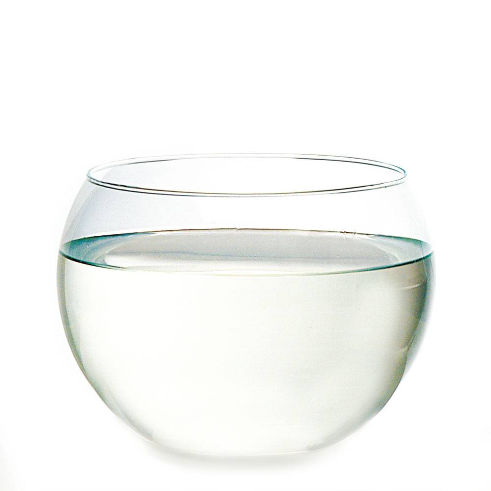Luvidarte vaso em vidro esférico aquário 72 tr (23x17cm)