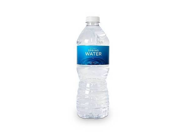 Bottled Water 16.9 oz