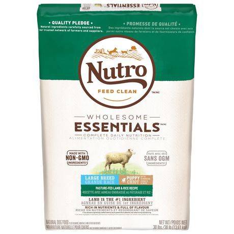 Nutro large breed outlet puppy lamb and rice