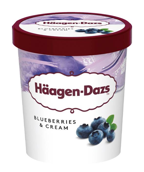 Haagen-Dazs藍莓冰淇淋#740034