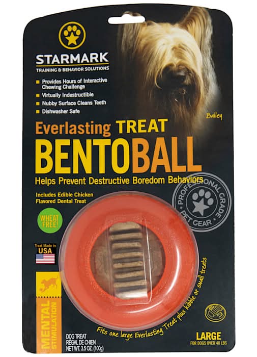Starmark Everlasting Bento Ball with Dental Treat Dog Toy, Large