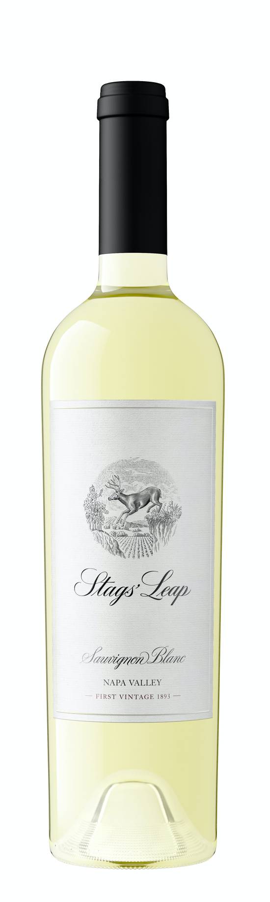 Stags' Leap Aveta Sauvignon Blanc Napa Valley Wine 2014 (750 ml)