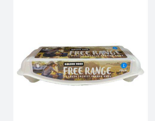 Golden Eggs Free Range Eggs Large (12 Pack)