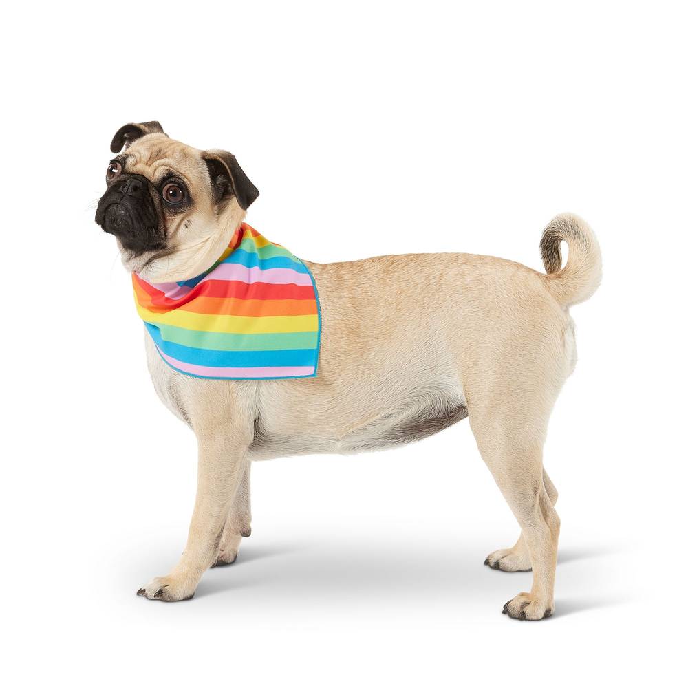 Top Paw® Your Are Loved Pride Dog Bandana (Color: Multi Color, Size: X Large/2X Large)