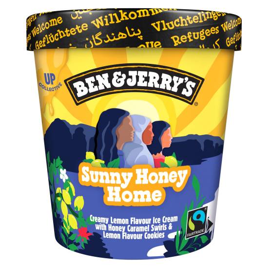 Ben & Jerry's Ice Cream Dessert Sunny Honey Home 465ml