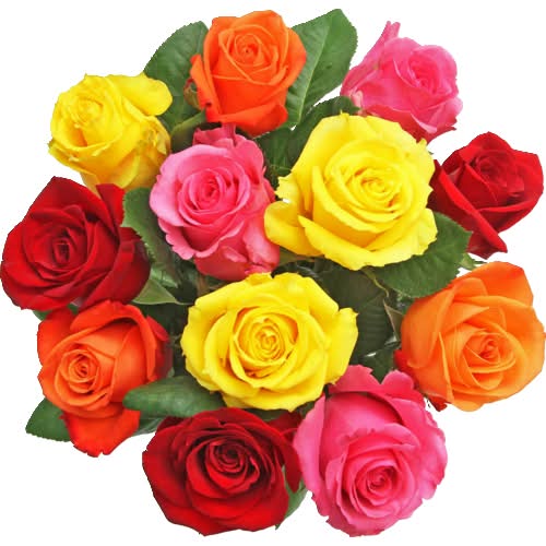 Dozen Rose Color Bunch