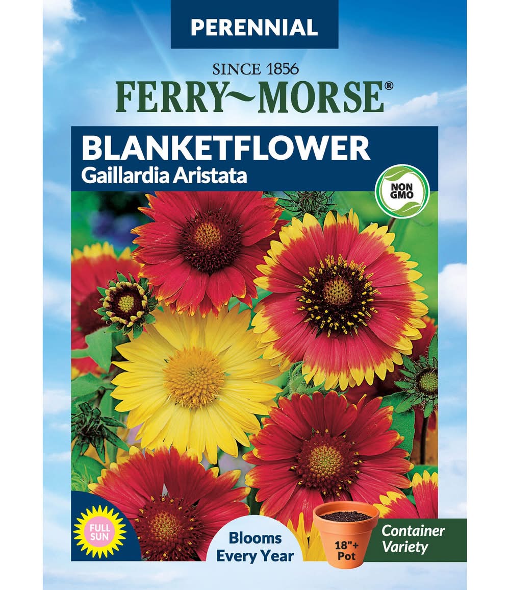 Ferry-Morse Blanketflower Seeds 150 Milligram(s)