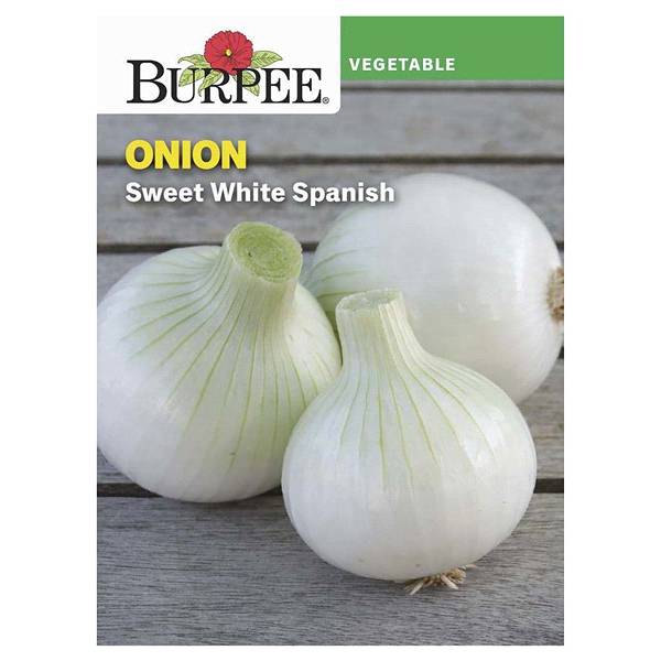 Burpee Onion, Sweet White Spanish