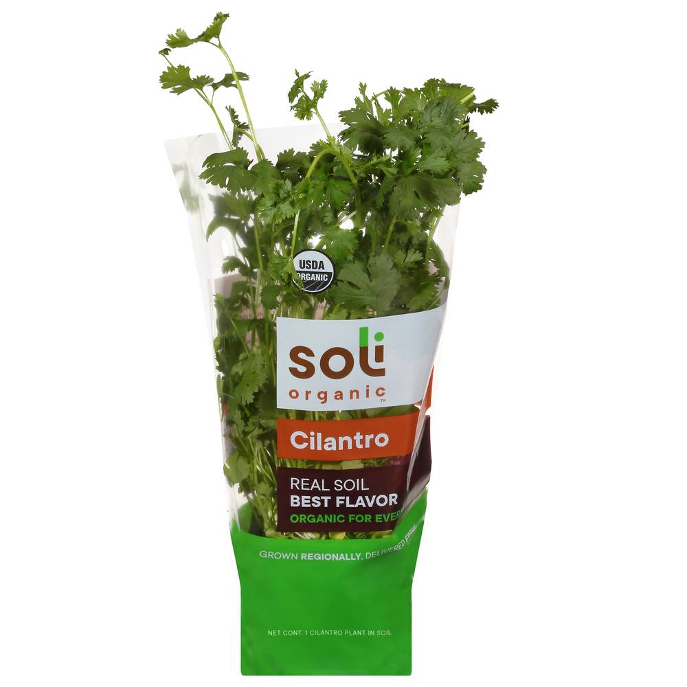 Soli Organic Cilantro