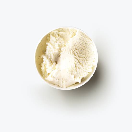 Vanilla Bean Ice Cream 120ML