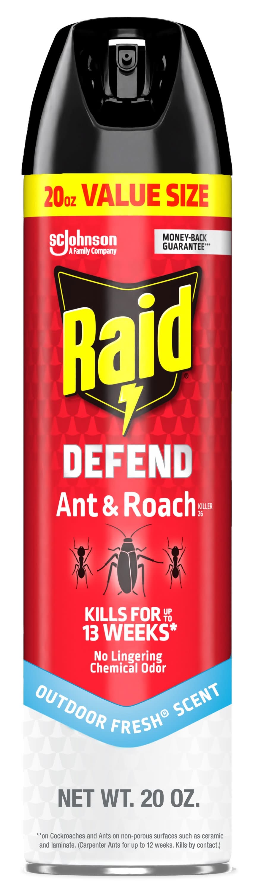 Raid 20 Ounce(s) Defend Ant and Roach Killer Indoor Spray