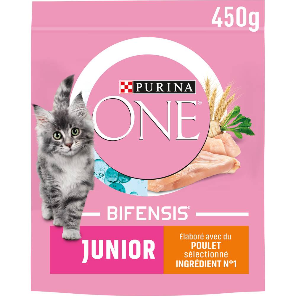 Purina One - Bifensis croquettes pour chat junior au poulet (450g)