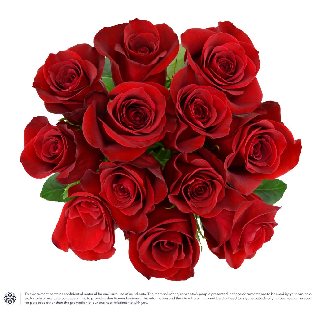 Dierbergs Markets Flowers & Gifts 12 Stem Rose Bunch (12 ct)