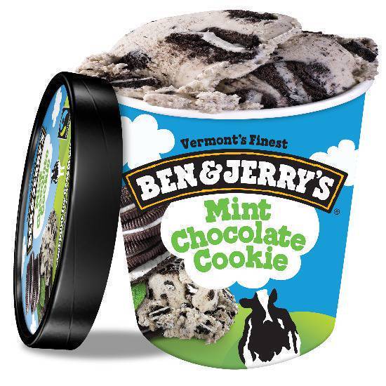 Ben and Jerry's Mint Chocolate Cookie