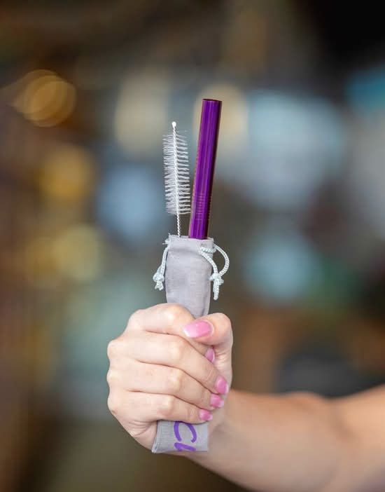 Stainless Steel Straw (Purple)
