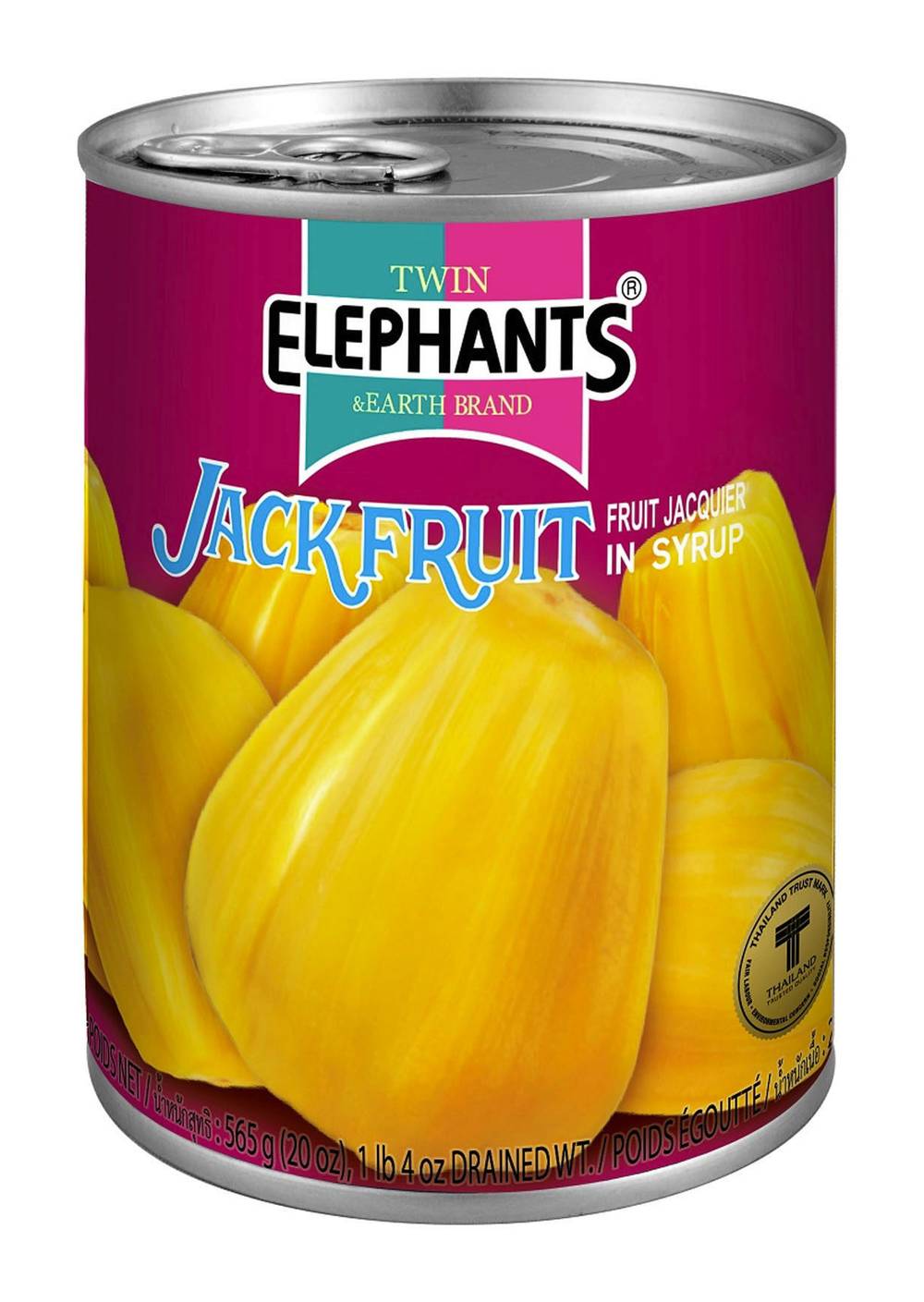 Twin Elephants Jack Fruit (565g)