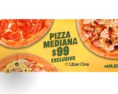 Papa John's Pizza Valle Dorado