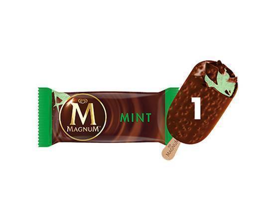 Magnum Mint 100ml