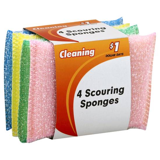 Kingsbridge International Scouring Sponges (4 ct)