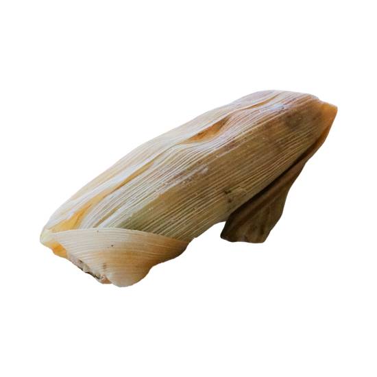 TAMALE-1