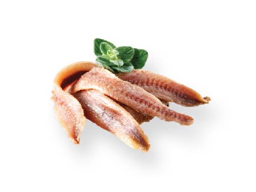 Side Anchovies-None