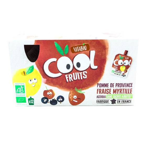 Cool fruits rouges 12x90g - VITA BIO - BIO