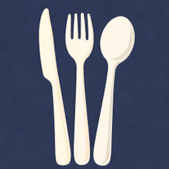PLASTIC CUTLERY SET