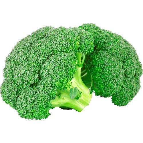 Broccoli Crown (Avg. 0.79lb)