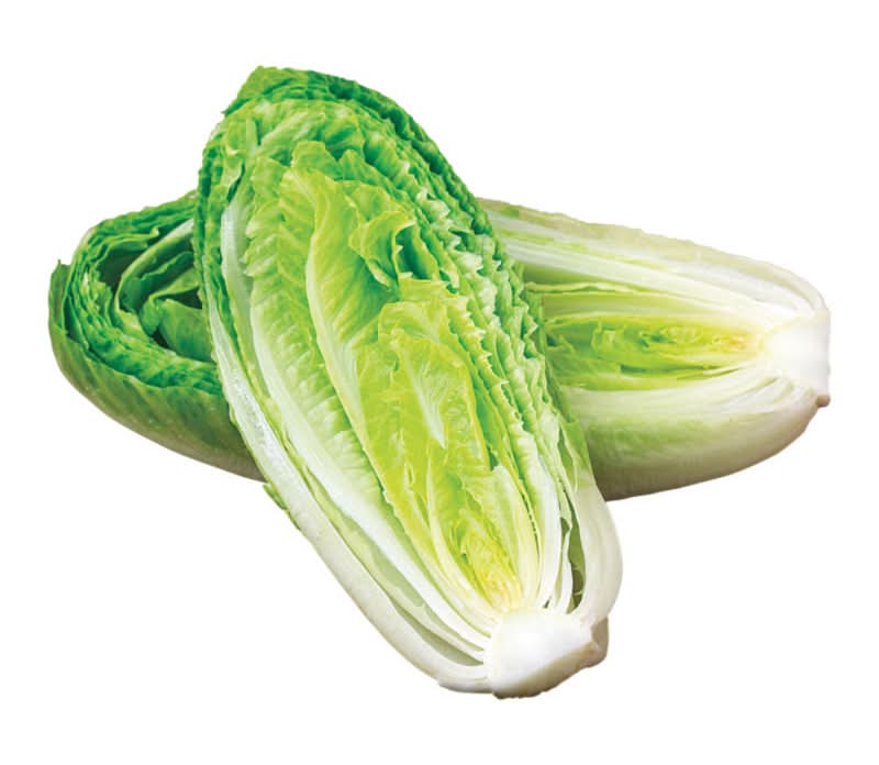 Organic Romaine Hearts