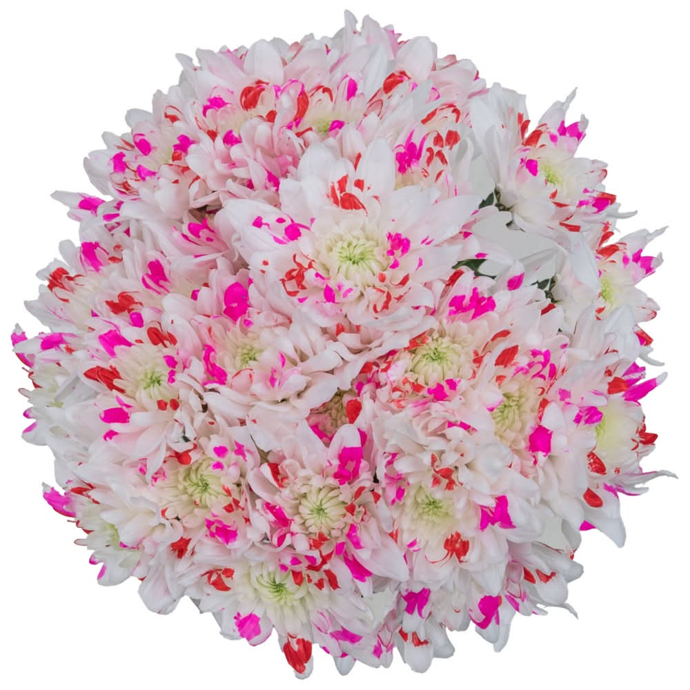 Valentine's Day Fresh Flower, Assorted (1 CT)