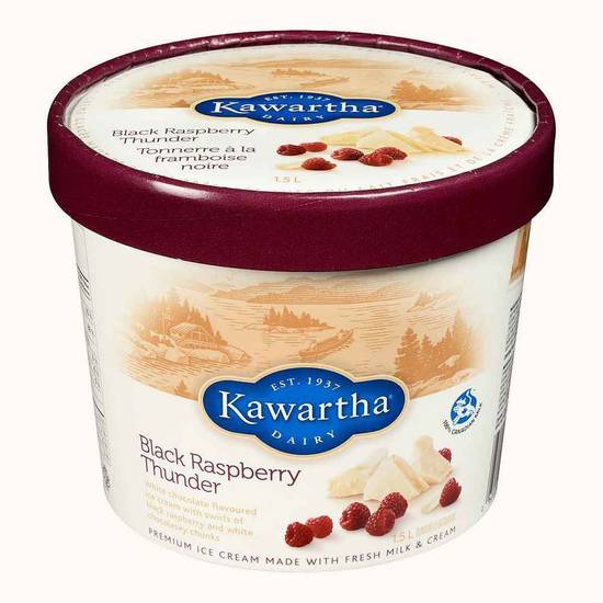 Kawartha Dairy Black Raspberry Thunder Ice Cream (1.5 L)