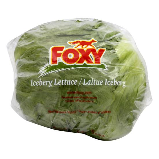 Foxy Iceberg Lettuce