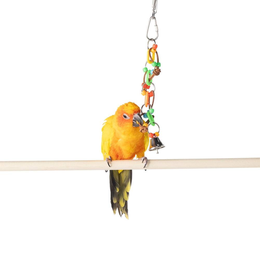 All Living Things® Chain Dangler Bird Toy (Color: Assorted, Size: Small)