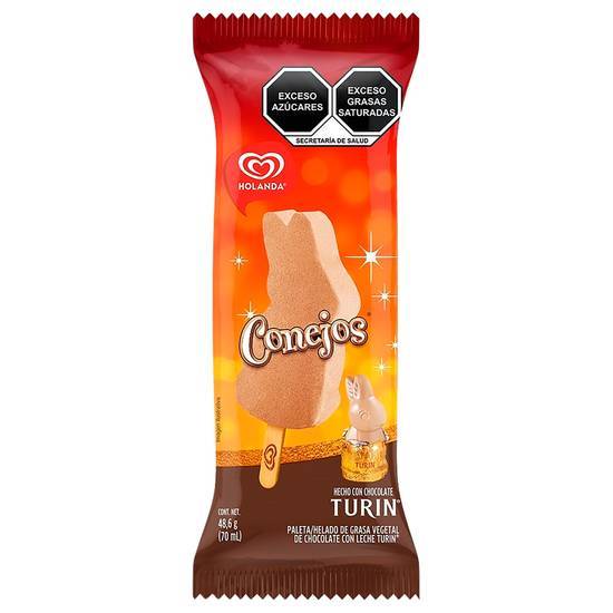 Holanda paleta helada conejos con chocolate turin