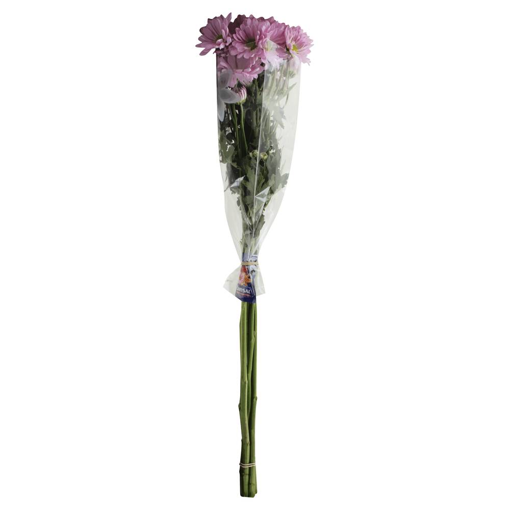 Safeway Pompons Flower Bouquet (1 bouquet)