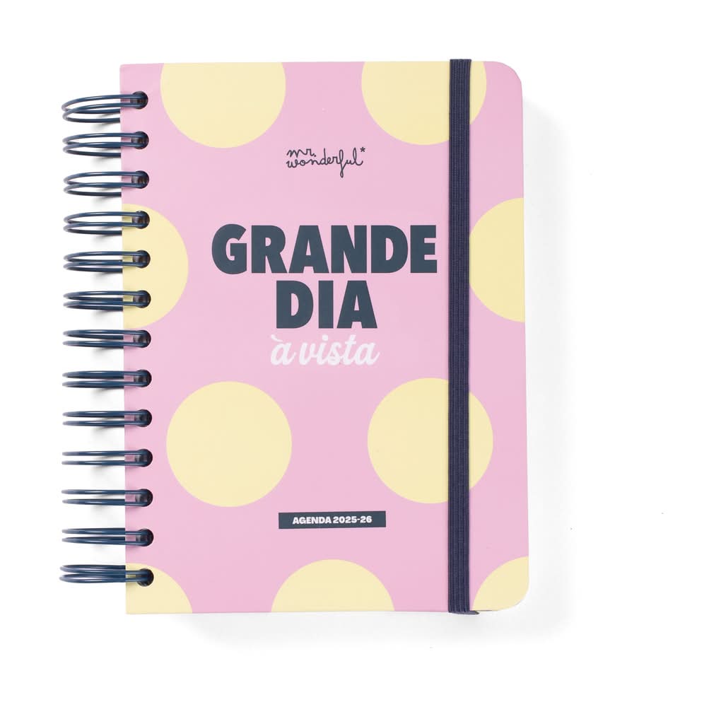 Agenda Wonder 25-26 Diária Pequena- Dia À Vista