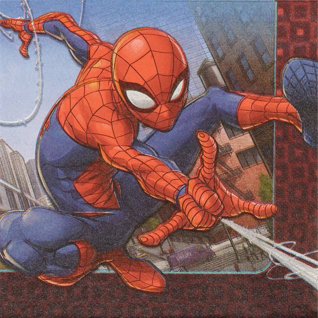 Ln Spider-Man Webbed Wonder