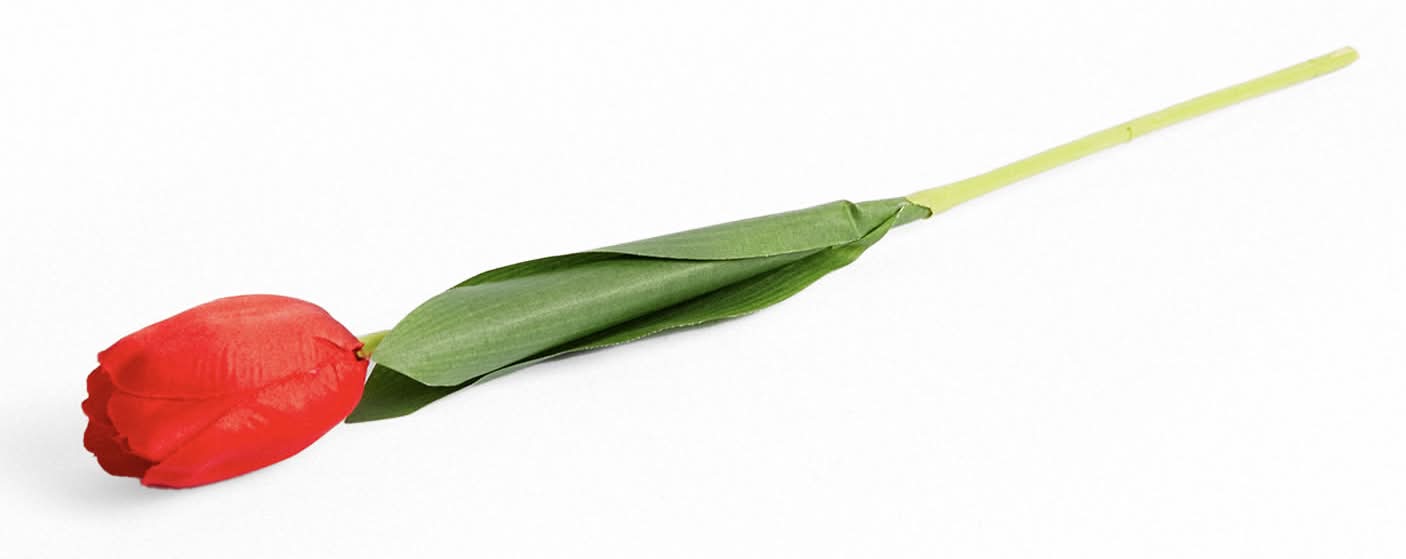 Krea · Tulipán (100 g)