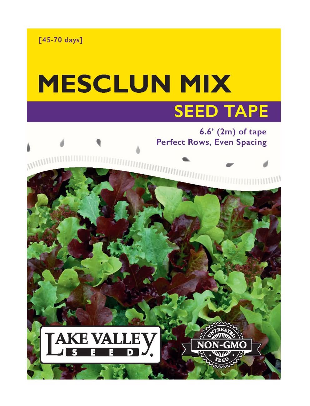Lake Valley Seed Plant Seeds