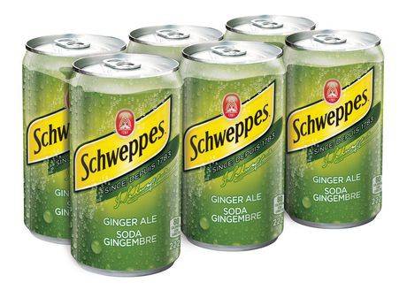 Schweppes Ginger Ale (6 x 222 ml)