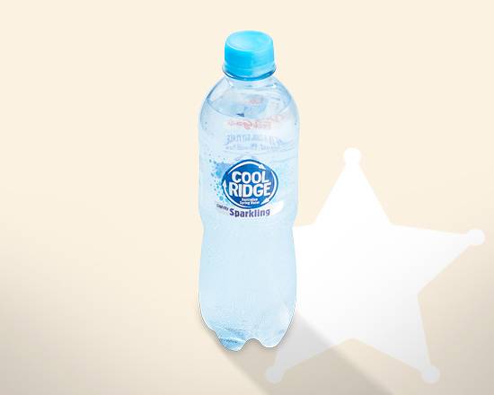 Sparkling Mineral Water 500mL