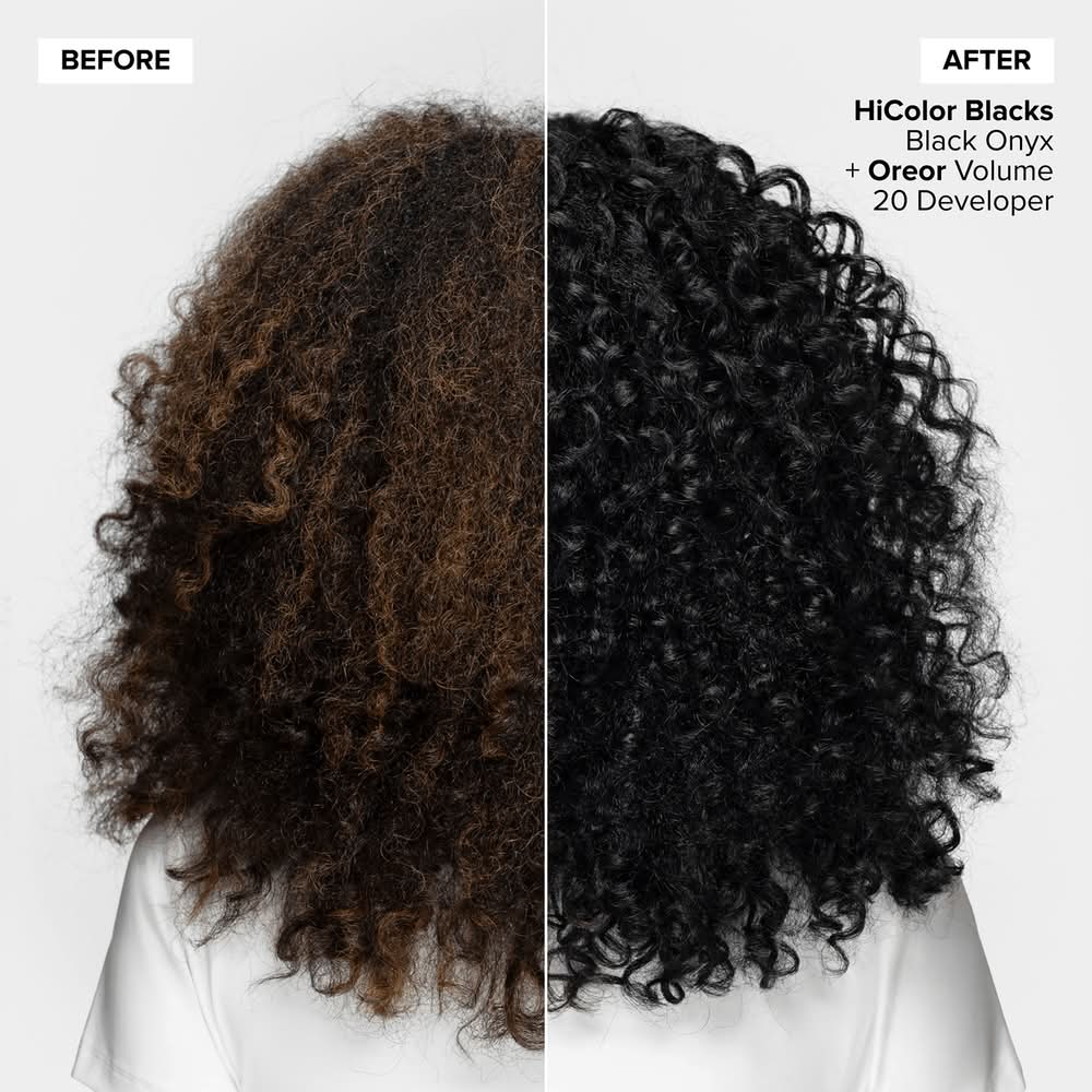 L'Oréal Excellence Hicolor Permanent Hair Color, H19 True Violet