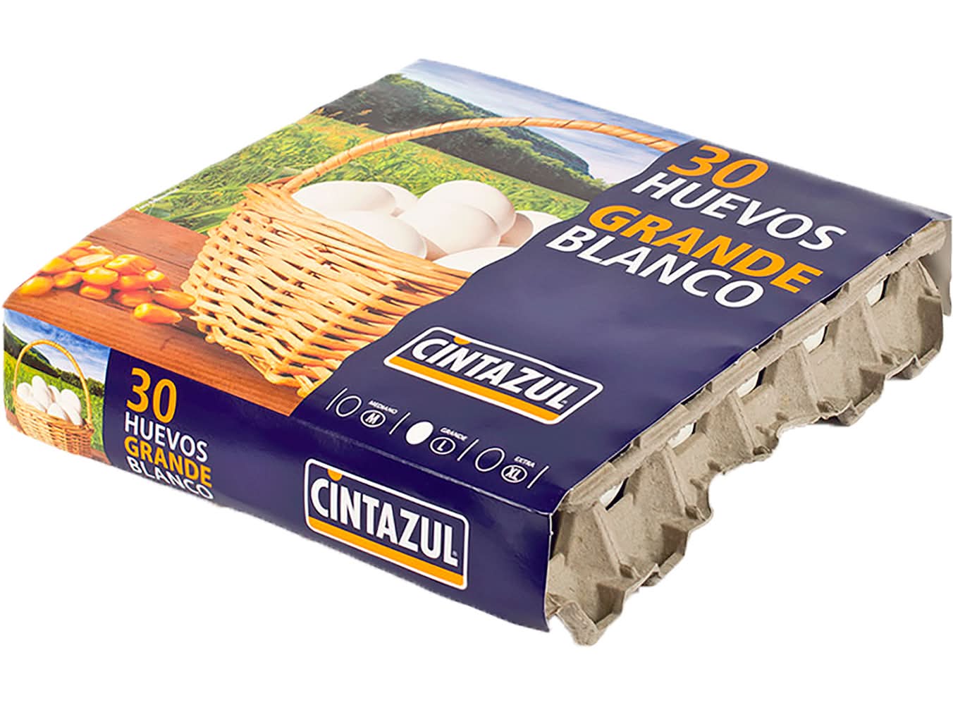Cintazul · Huevos blancos - L (30 un)