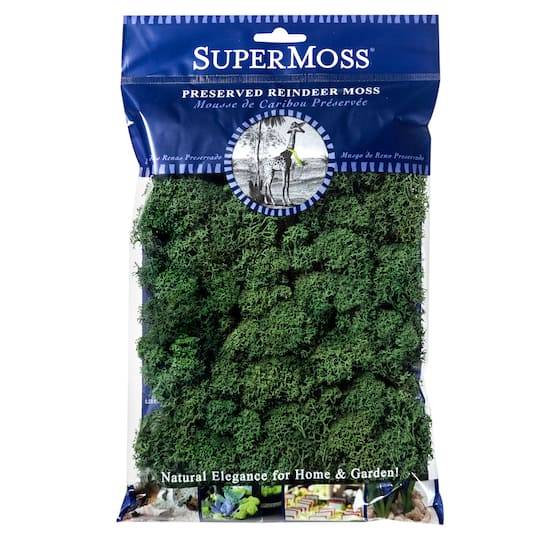 SuperMoss Preserved Reindeer Moss