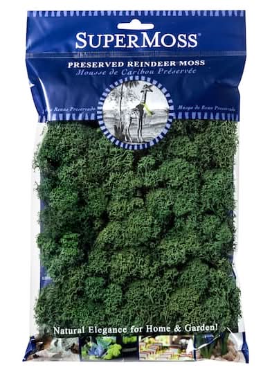 SuperMoss Preserved Reindeer Moss
