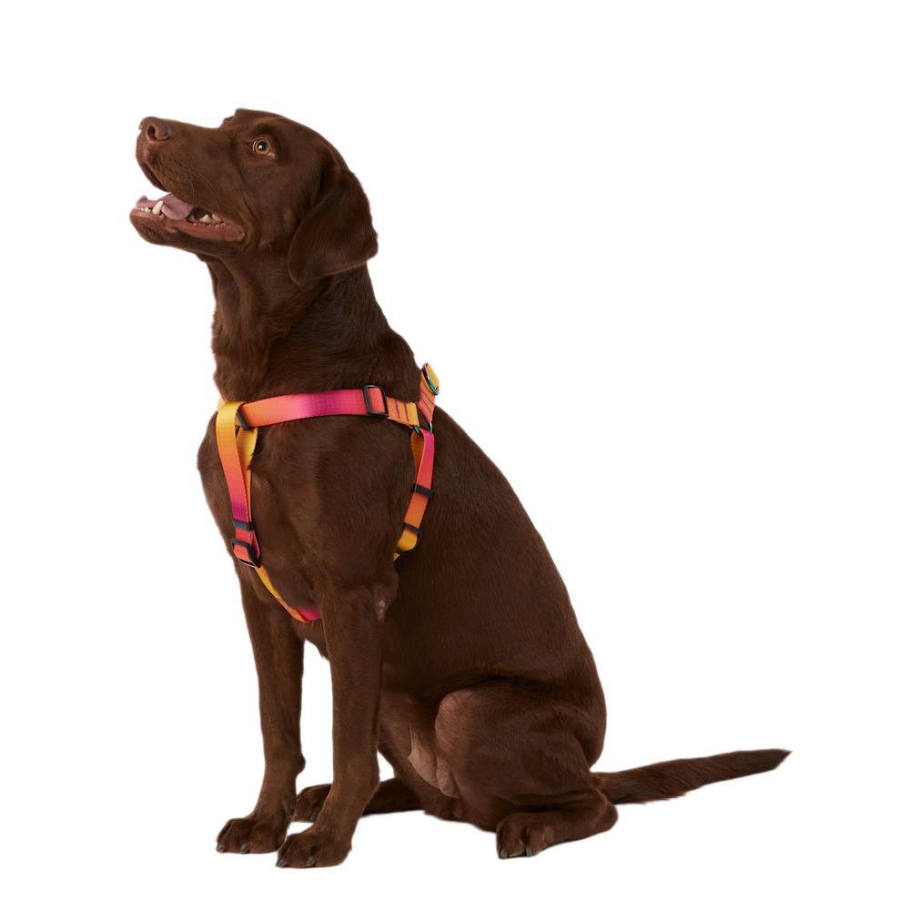 Top Paw Ombre Dog Harness (medium/yellow-pink)