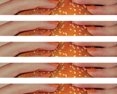 Gaspachos ¨Del Seguro¨