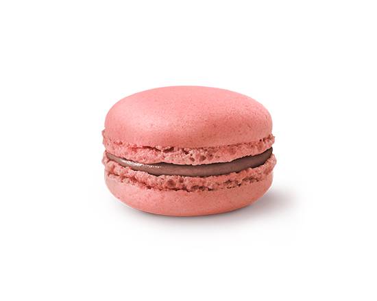 マカロン ラズベリー Macaron Raspberry