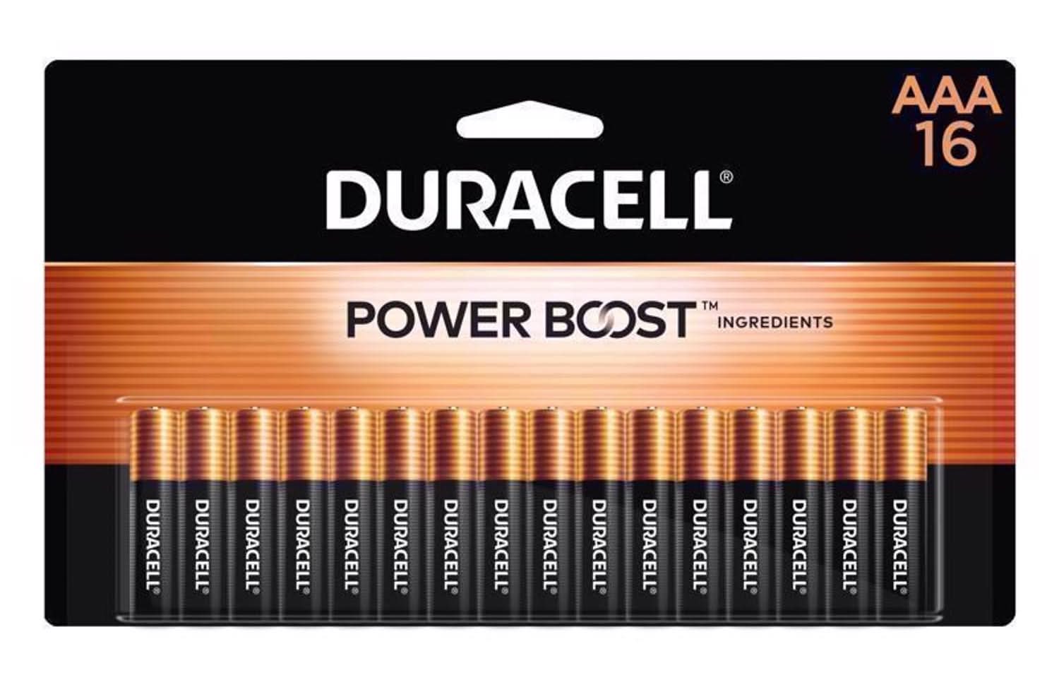Duracell Coppertop Aaa Alkaline Batteries 16 Pk Carded