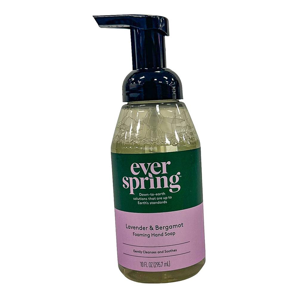 Everspring Foaming Hand Soap